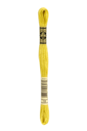 DMC Mouliné Borduurgaren 18