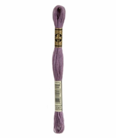 DMC Mouliné Borduurgaren 3041