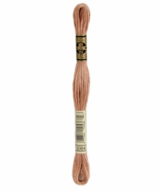 DMC Mouliné Borduurgaren 3064