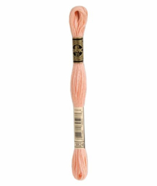 DMC Mouliné Borduurgaren 3824