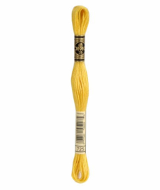DMC Mouliné Borduurgaren 725