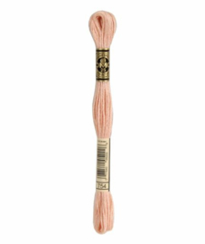 DMC Mouliné Borduurgaren 754