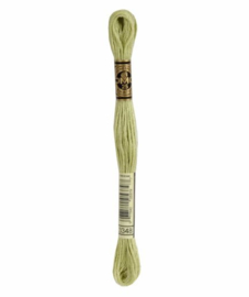 DMC Mouliné Borduurgaren 3348