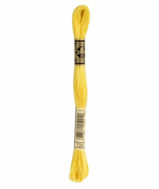 DMC Mouliné Borduurgaren 726