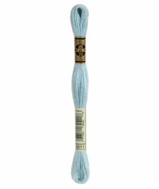 DMC Mouliné Borduurgaren 3811