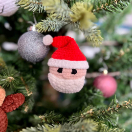 Zooballs Kerstvrienden - Laura de Vries & Annelies de Vries