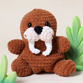 Walrus Wout