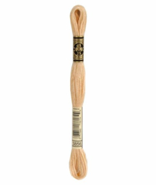 DMC Mouliné Borduurgaren 3856