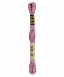 DMC Mouliné Borduurgaren 316