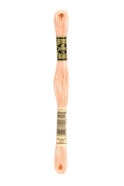 DMC Mouliné Borduurgaren 20