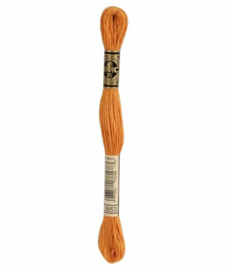 DMC Mouliné Borduurgaren 3853