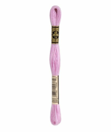 DMC Mouliné Borduurgaren 3609
