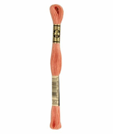 DMC Mouliné Borduurgaren 352