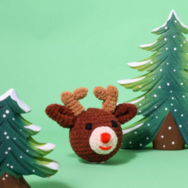 Zooballs Kerstvrienden - Laura de Vries & Annelies de Vries