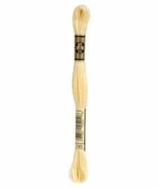 DMC Mouliné Borduurgaren 745