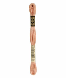 DMC Mouliné Borduurgaren 3771
