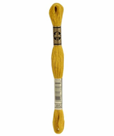DMC Mouliné Borduurgaren 3852