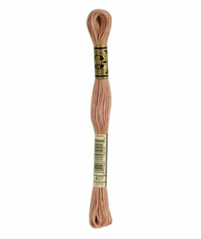DMC Mouliné Borduurgaren 407