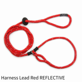 Harness Lead Red Reflective