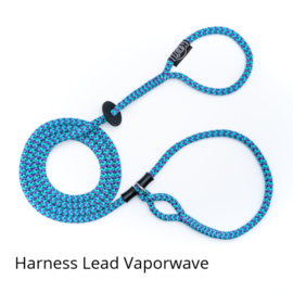 Harness Lead Vaporwave
