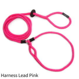 Harness Lead Pink