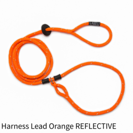 Harness Lead Orange Reflective