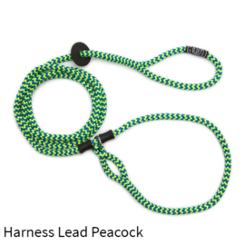Harness Lead Peacock