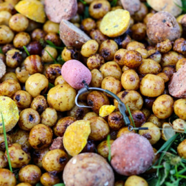 Pop-up Baits DUMBELL WAFTER Spicy Maple 16mm