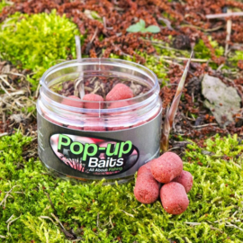 Pop-up Baits DUMBELL WAFTER Garlic & Robin Red Haiths 16mm