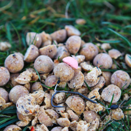 Pop-up Baits POP-UP Secret Scopex 14mm