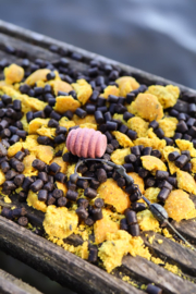 Pop-up Baits GRUBS POP-UP Garlic & Robin Red Haiths