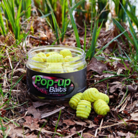 Pop-up Baits GRUBS WAFTER Creamy Scopex & Hemp