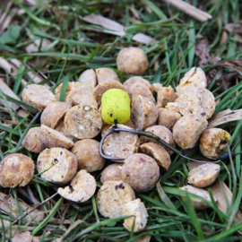 Pop-up Baits DUMBELL WAFTER Creamy Scopex & Hemp 16mm