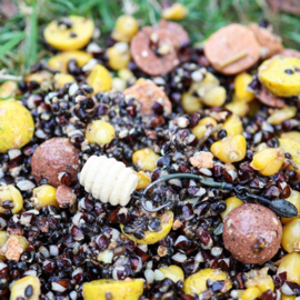 Pop-up Baits GRUBS POP-UP eXtreme Insect