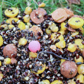 Pop-up Baits POP-UP Bloody Coconut 14mm