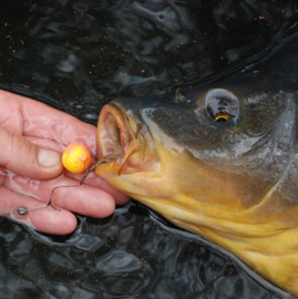Karpela Bait Container (anti kreeft) 14mm 4-PACK