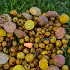 Pop-up Baits SNAILS Mango & Black Pepper