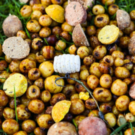 Pop-up Baits GRUB WAFTER XL Milky Bounty