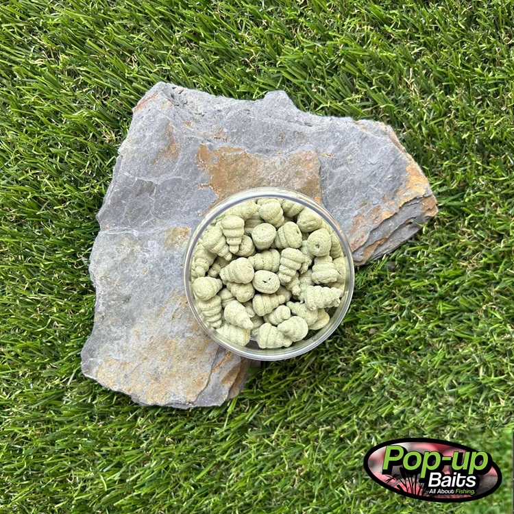 Pop-up Baits SNAILS Oyster Green