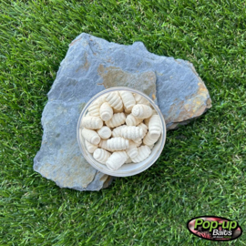 Pop-up Baits GRUBS POP-UP Coconut & Banana