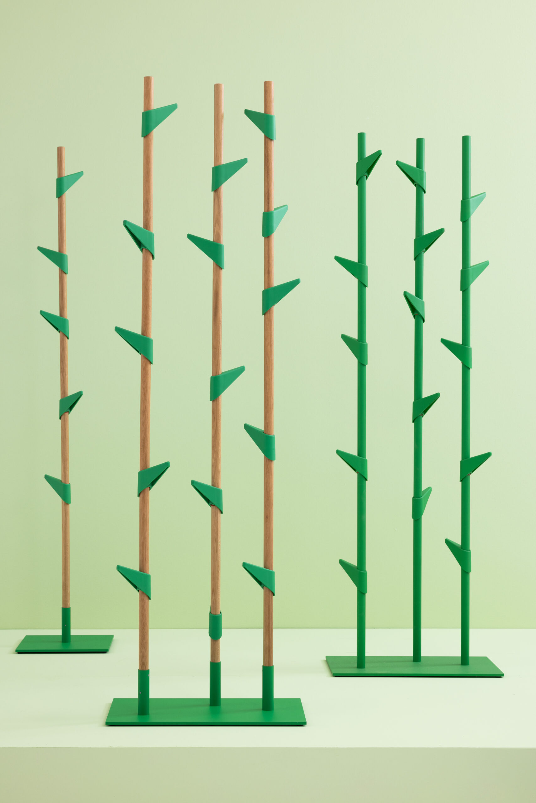 Bamboo