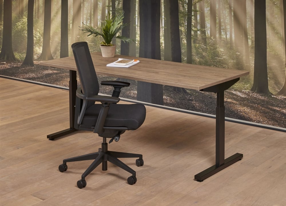 Derijks Easy Zit/Zit bureau 180x80 cm