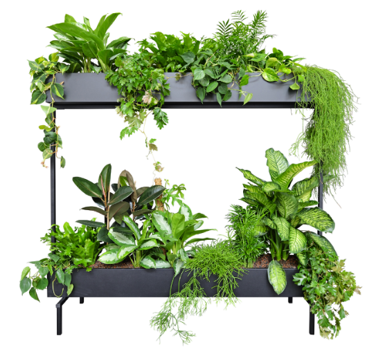 Plantenbakken