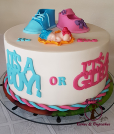 Gender  Reveal