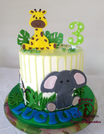 Safari