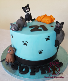 Cat theme