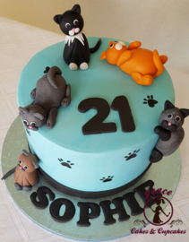 Cat theme
