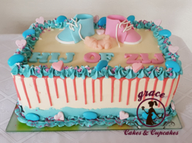 Gender Reveal