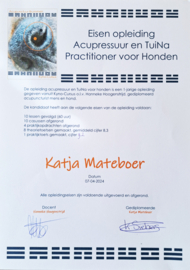 Acupressuur en Tui-Na Massage