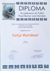 Acupressuur en Tui-Na Massage